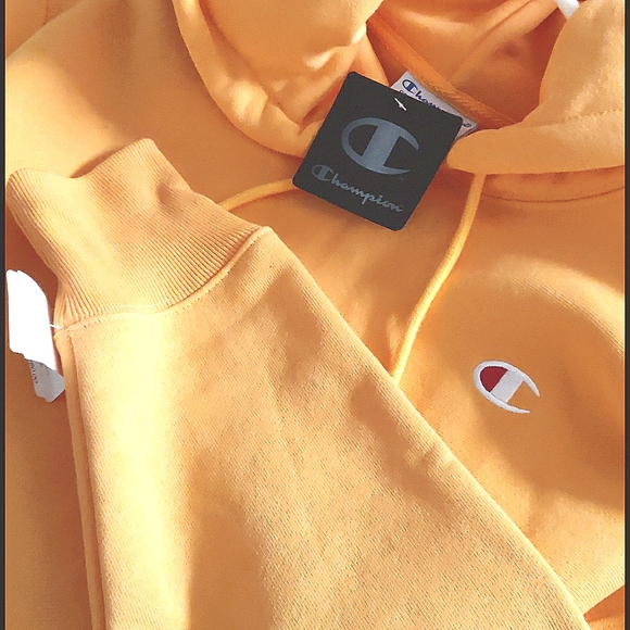 Champion Cropped Hoodie (size:S) - Picture 2 of 4